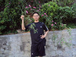 ���� �߿���Ԫ�ܕ�IT��������