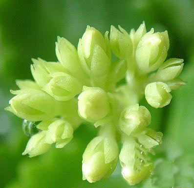 �����ɌWУ