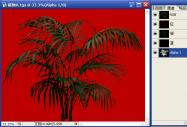   Lightscape���F�г�Ҋ���}�������c��Q(һ)