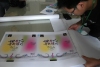 �̎��M��ِ�x���������ߴ�
