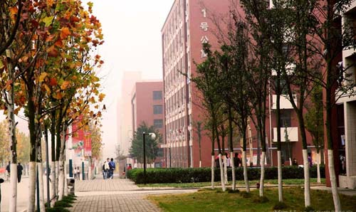 ���ŗ�����У�@��һ���������L(f��ng)��